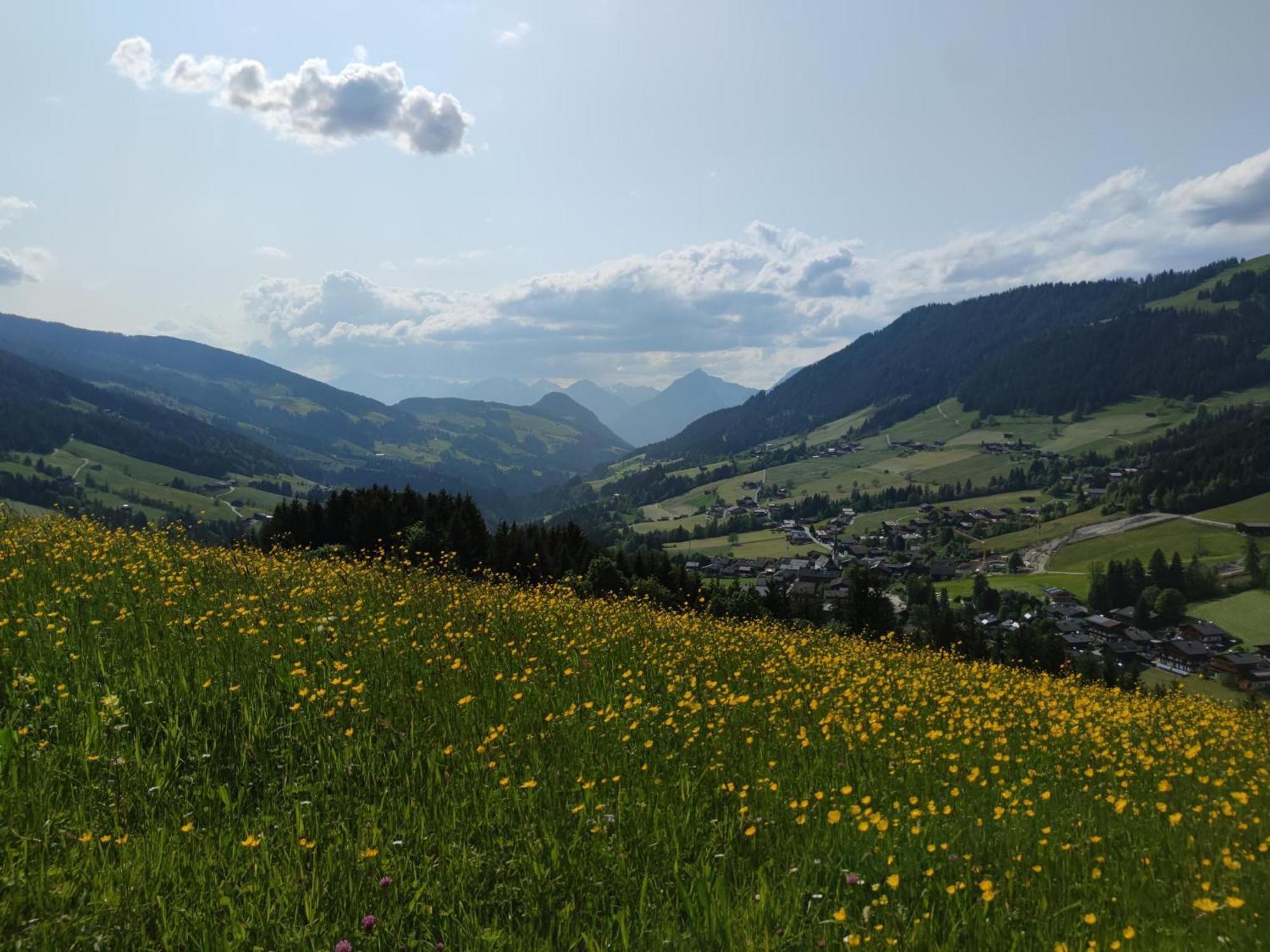 Chalet Mountain View Алпбах Екстериор снимка